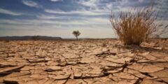 الجفاف يفقد المغرب أكثر من نصف محاصيل الحبوب | إنفوجراف | تقارير السلع