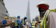 تأمين البطالة يعزز شبكة الأمان المعيشي في الإمارات