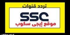تردد قنوات ssc sports السعودية المفتوحة الناقلة للدوري السعودي ودوري أبطال آسيا