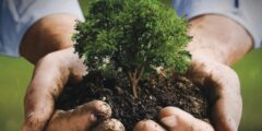 تهدف مبادرة السعودية الخضراء لرفع الغطاء النباتي وتقليل انبعاثات الكربون