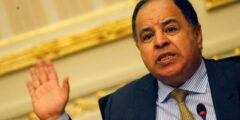 وزير المالية المصري: الاقتصاد يحقق فائض أولي قدره 91 مليار جنيه